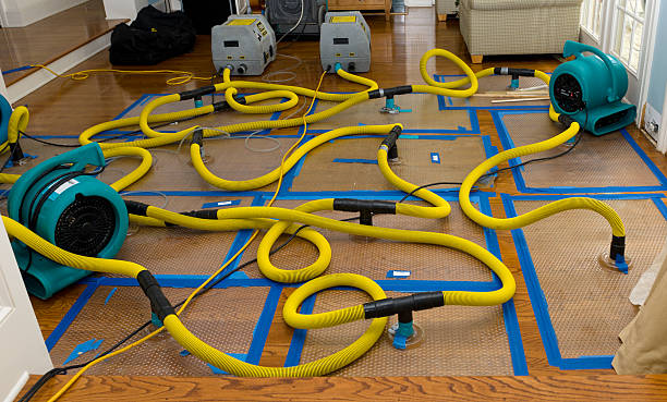 Professional Water Extraction technician working in Santa Clarita, CA